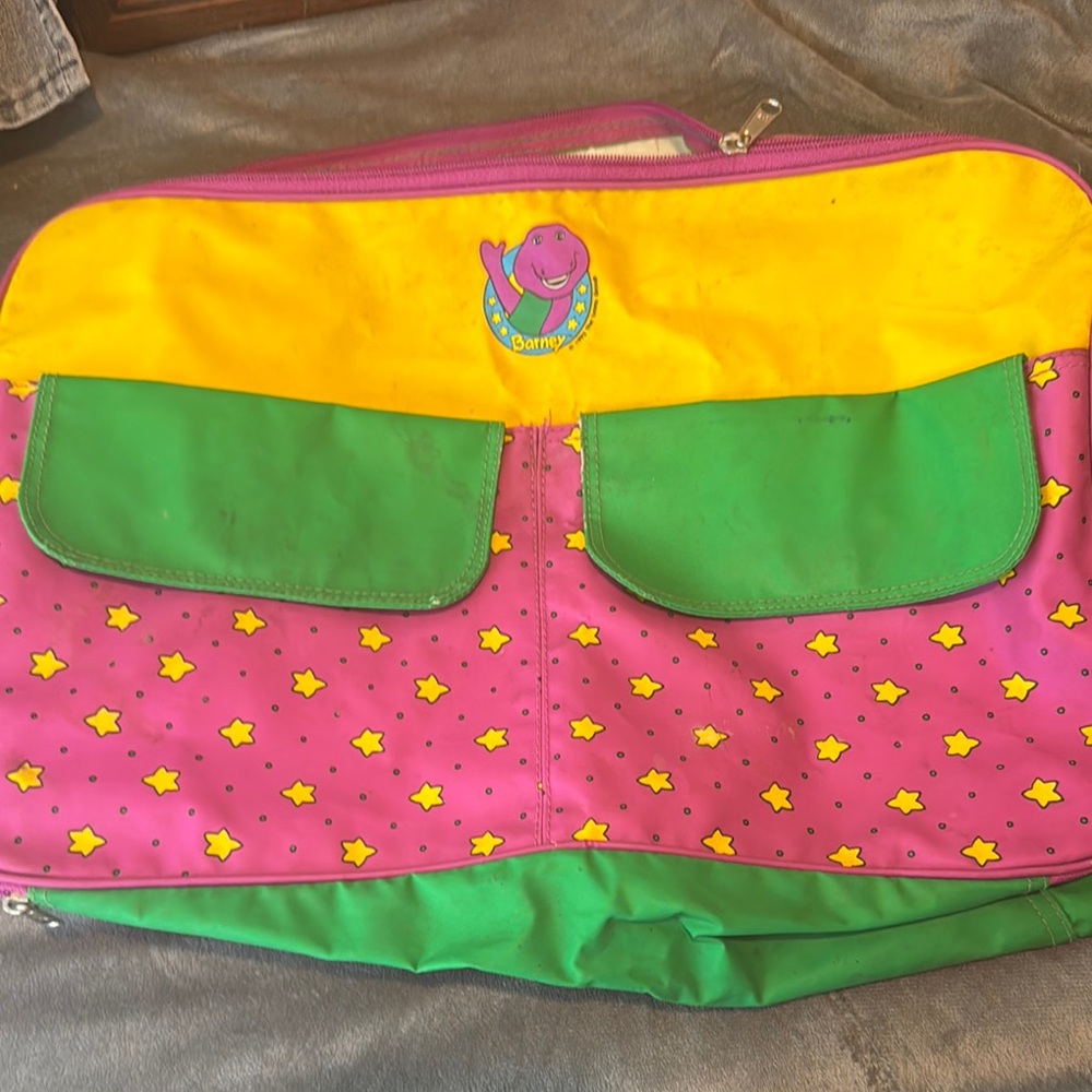 Barney Themed Bag with Pockets